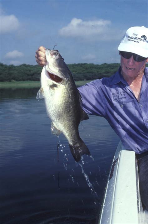 fish license az|az fishing and hunting license.